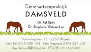 DAP Damsveld